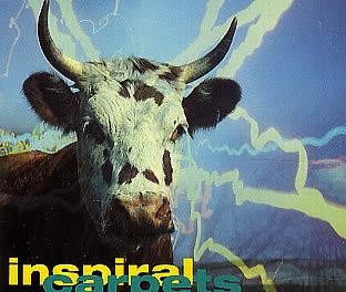 Inspiral Carpets Photo 20