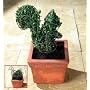 Topiary Frames Squirrel&Duck Free Shears