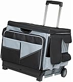 ECR4Kids MemoryStor Universal Rolling Cart