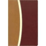 NIVLargePrintReferenceBible