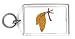 Keychain with stalk, Europe, branch, Norway, fruit