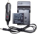 Panasonic Lumix Camera Battery Total Solution, Battery+ 2 x Charger