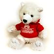 Steamroller Teddy Bear