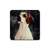 Pointer Rubber Square Coaster (4 pack)