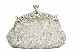 Elegante perlenbestickte Clutch Party Bag in Silber