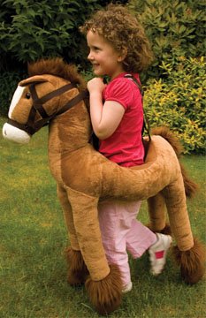 Riding My Pony