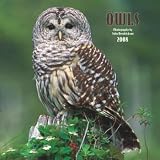 Owls 2008 Wall Calendar