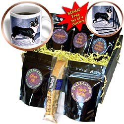 Dogs Border Collie - Border Collie - Coffee Gift Baskets - Coffee Gift Basket by Decaf Espresso Roast