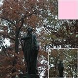 Tiffen Enhancing - Filter - enhancing - 67 mm