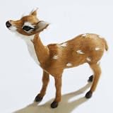 �y&K AMSTERDAM�zLittle Bambi ���g���o���r�@���X