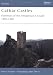 Cathar Castles