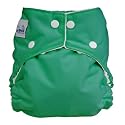Fuzzi bunz Perfect Size Diaper GREEN MEDIUM