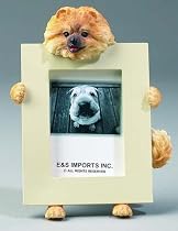 Pomeranian Dog 2.5 x 3.5-inch Handpainted Picture Frame