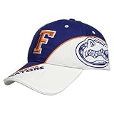 Twins Enterprise Florida Gators Royal Blue Avalanche Hat