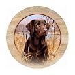 Set of 4 Sandstone Coasters - Killen's Chocolate Lab