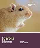 Gerbils : understanding and caring for your pet