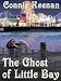 The Ghost of Little Bay