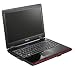 Samsung Q310 P8400 Malin 13,3 Zoll WXGA Notebook (Intel Core 2 Duo P8400 2,3GHz, 3GB RAM, 320GB HDD, nVidia GeForce 9200M GS, DVD+- DL RW, Vista Home Premium)