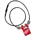 NHL Detroit Red Wings LifeTile Necklace