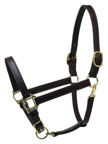 Perri's Horse Deluxe Turnout Halter