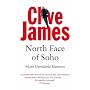 North Face of Soho: Unreliable Memoirs Volume IV