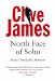 North Face of Soho: Unreliable Memoirs Volume IV