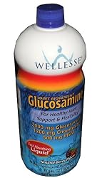 Wellesse Joint Movement Glucosamine With Chondroitin and Msm 33.8 fl oz (1000