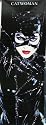 Catwoman (Pose in Black, Door) Movie Poster Print - 25" X 70"