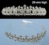 Bridal Party Wedding Veil Crystal Headband Tiara T99