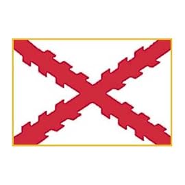Cross of Burgundy 3ft x 5ft Nylon flag
