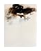 Instants Immobilises, 2008 by Gabriel Belgeonne, 40x49