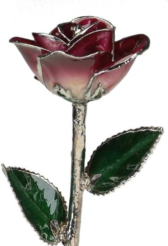 11" 2-Tone Burgundy Platinum Dipped Real Rose