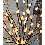 The Light Garden NPWL4840-B Battery Powered Natural Pussy Willow Accent Light with 48 Lights