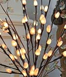 The Light Garden NPWL4840-B Battery Powered Natural Pussy Willow Accent Light with 48 Lights