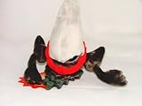 pokemon soft toy Banpresto  Figure Darkrai