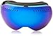 Dragon Alliance APXS Ski Goggles