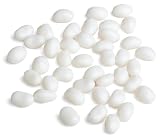 Gimbal's Fine Candies Gourmet Jelly Beans, Coconut, 10 Pound Case