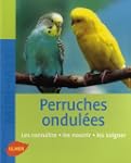 Perruches ondul�es
