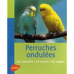 Perruches ondul�es