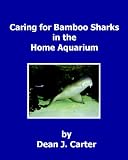 : Caring for Bamboo Sharks in the Home Aquarium