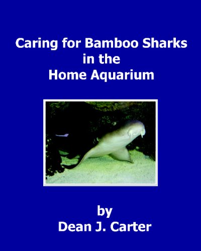 Caring For Bamboo Sharks In The Home Aquarium
