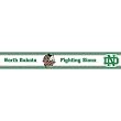 North Dakota Fighting Sioux Sports Prepasted Wall Border