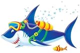 Shark - 18
