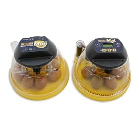 NEW Brinsea Economy Mini Incubator: 10 Egg