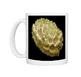 Wildflower seed, SEM Photo Mugs