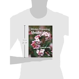 Winter-Flowering Shrubs