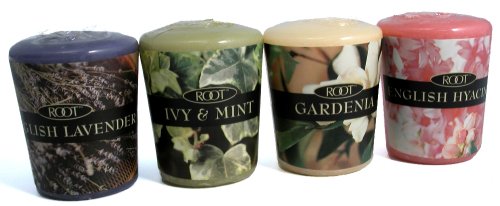 Root 20 Hour Votive, Spring, 12-Count (Pack of 2) by Root