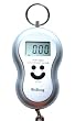 Silver Digital Luggage Scale 40kg, 88lb, 1410oz with Built in Temperature Thermometer