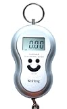 Silver Digital Luggage Scale 40kg, 88lb, 1410oz with Built in Temperature Thermometer
