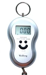 Silver Digital Luggage Scale 40kg, 88lb, 1410oz with Built in Temperature Thermometer